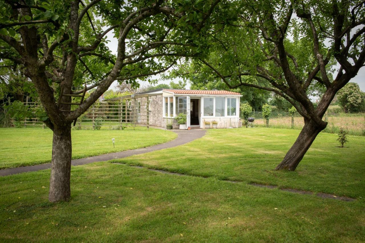 The Studio Somerton  Exteriör bild